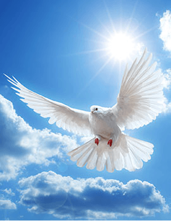 Delores Taylor Obituary