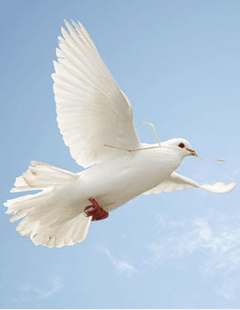 Lurleen Sanders Obituary